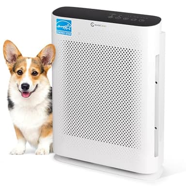Air Purifier for Home Allergies & Pets | 4-in-1 H13 True HEPA Filter/Ionizer/Carbon + UV Light | Portable Air Purifiers for Large Room & Bedroom Odor Elimination - InvisiClean Aura II