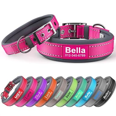 Personalized Dog Collar with Name & Phone Number | Reflective Ultra Wide Soft Neoprene Padded | Durable Metal Buckle for Large, Medium, and Small Dogs in Pink, Purple, Blue & Other Stylish Colors