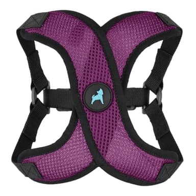 Gooby Comfort X Step in Lite Dog Harness - Choke Free, Escape Free with Light Breathable Mesh - Step in Dog Harness for Small and Medium Dogs - Quick Release Buckle, Metal D-Rings - Purple, Medium