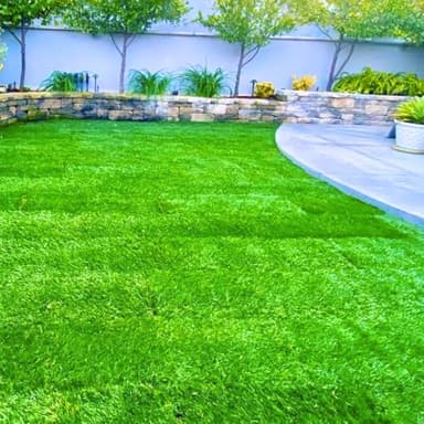 30000 Zoysia Grass Seeds for Lawn, Hardy Zoysia Seeds for Outdoor Gardens and Landscaping
