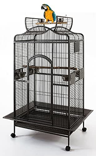 2 Color, Extra Large Wrought Iron Dome Top for Macaw Goffin's Cockatoo Cockatiels African Grey Amazon Parrots Green Cheek Conures Caique Bird Cage with Rolling Stand (Black-Vein)