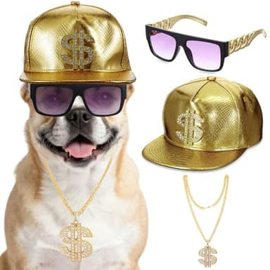 Huhumy 3 Pcs 80s 90s Dog Hip Hop Set in Dollar Themed Role Playing Outfit for Parties Holidays Dog Birthdays Music Festivals Adjustable Pets Costumes Cool Cosplay Accessories for Medium to Large Pets