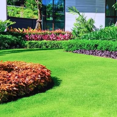Zoysia Grass Seeds for Lawn, 20000 Seeds Count, Zoysia Seeds Lawngrass to Grow Backyard Home Garden