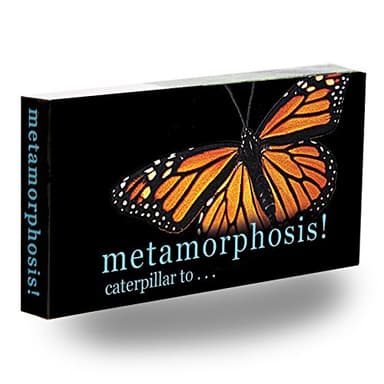 Fliptomania Caterpillar to Monarch Butterfly Metamorphosis Flipbook