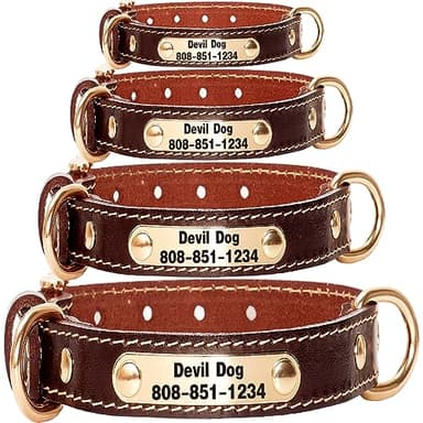 ZQDJ Genuine Leather Personalized Dog Collars Custom Dog Collar with Name for Large Medium Small Dogs（XS-S）